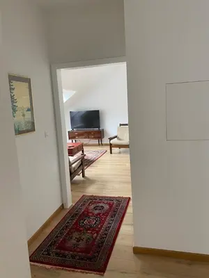 a hallway with a living room with a rug at Spacious app/Antwerp city center #003 in Antwerp