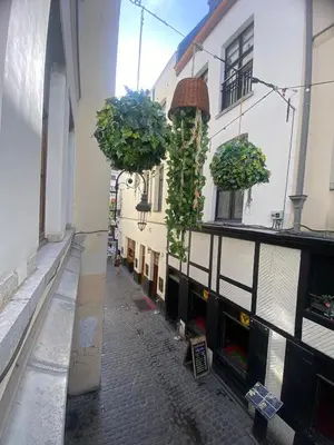 an alley with potted plants on the side of a building at Apartament in Brussels
