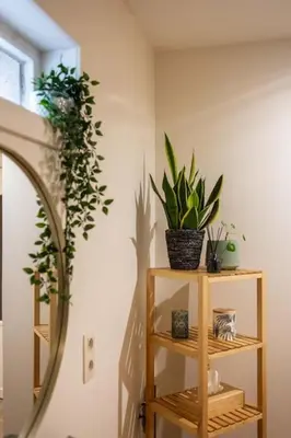 a room with a mirror and plants on a wall at Gezellig appartement op het hippe Zuid in Antwerp