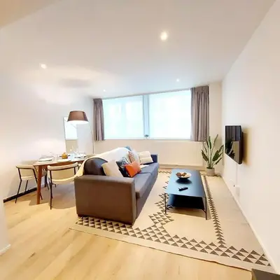New Luxe Grand place Apartment