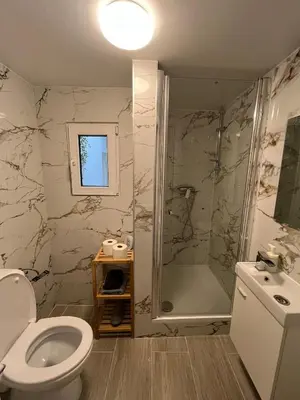 a bathroom with a shower and a toilet and a sink at Rue blaes Appartement in Brussels