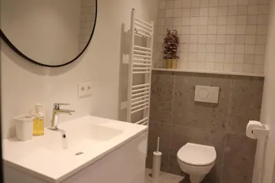 a bathroom with a sink and a toilet and a mirror at Cozy Room, Big City Adventures III in Ghent