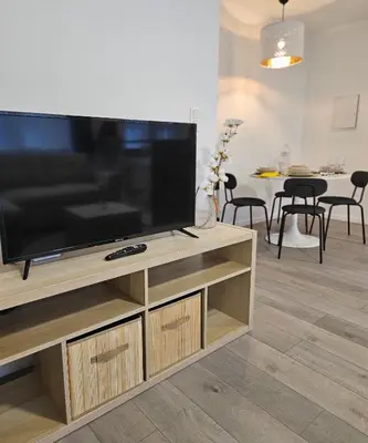 a large flat screen tv sitting on a wooden entertainment center at Brussels apartment with terrace 1 in Brussels
