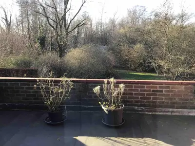 two potted plants sitting on top of a brick wall at Cosy attic apartment, terrace, 1 bedroom south, 1 double bed for 2, plus single bed if 3 guests in Opdorp