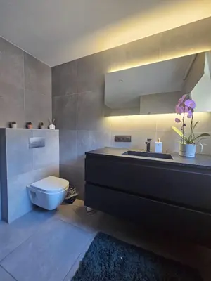 a bathroom with a sink and a toilet in it at L' Gante in Ghent