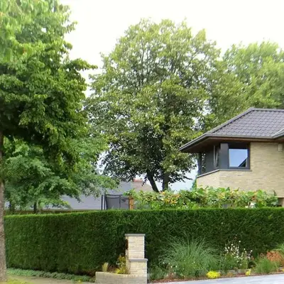 Bed and breakfast Mentari
