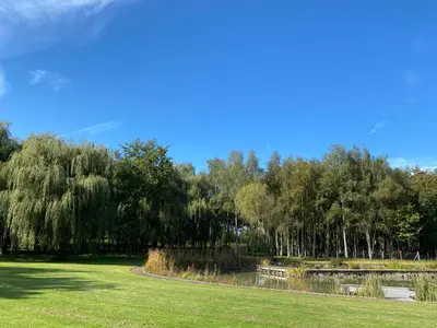 a park with a pond and trees in the background at Holiday House Nature in Lier