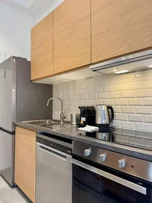 a kitchen with a sink and a stove top oven at Urban Nest - Brussels in Brussels