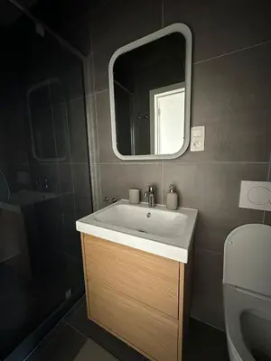a bathroom with a sink and a mirror at 2- Nid lumineux 1 chambres au coeur d'Ixelles in Brussels