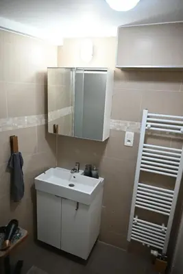 a bathroom with a white sink and a mirror at Cozy Apartment in Brussels of 75 m² in Brussels
