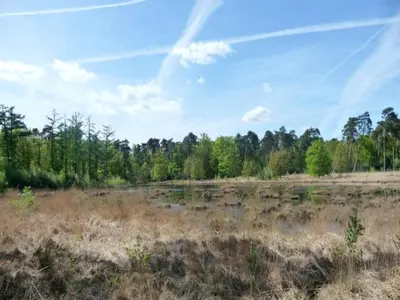 an open field with trees in the background at 3-Bedroom Central Retreat in Ravels in Ravels