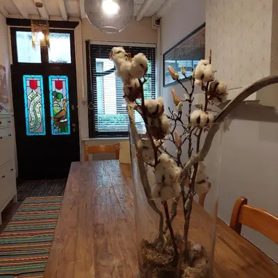 a dining room table with a branch with white flowers at Plezantwerpen, Zuiderzin in Antwerp
